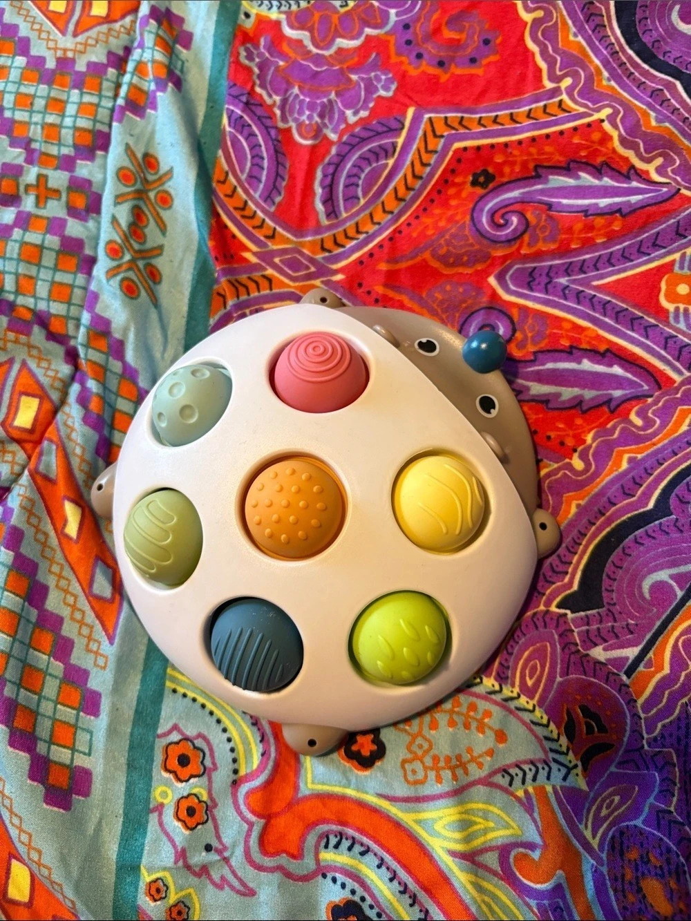 Spark Create Imagine Hedgehog Popper Sensory Learning Fidget Toy.
